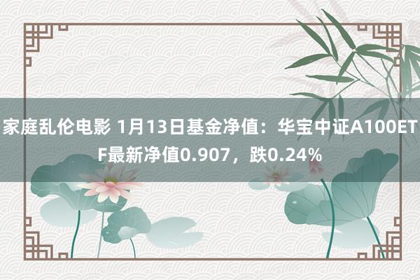 家庭乱伦电影 1月13日基金净值：华宝中证A100ETF最新净值0.907，跌0.24%