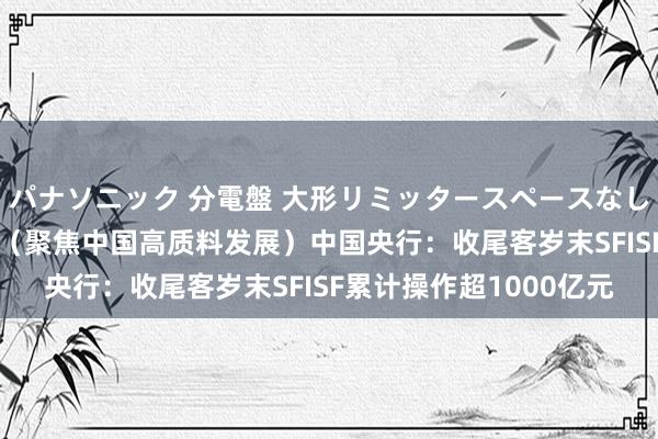 パナソニック 分電盤 大形リミッタースペースなし 露出・半埋込両用形 （聚焦中国高质料发展）中国央行：收尾客岁末SFISF累计操作超1000亿元