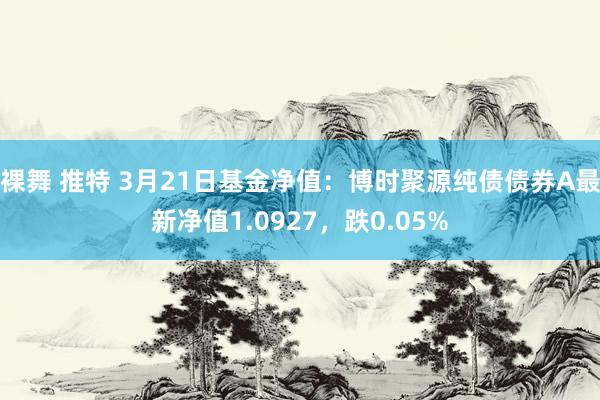 裸舞 推特 3月21日基金净值：博时聚源纯债债券A最新净值1.0927，跌0.05%
